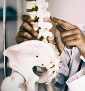 doctor pointing to model of healthy spine